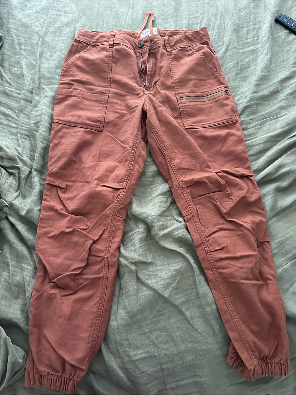REI Rust Red Jogger Cargo Pants